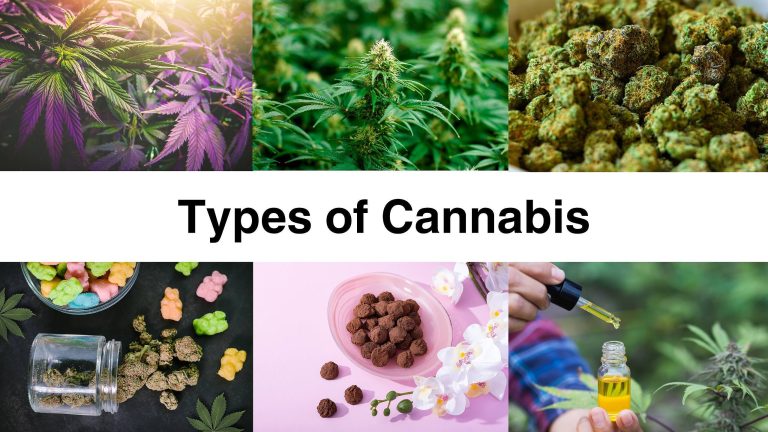 Stacking Cannabis with Psychedelics: What Science Says About Cross-Effects