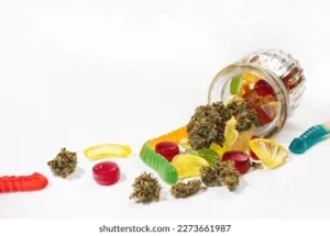 Terpene Synergies: Pairing Linalool and Caryophyllene for Relaxation